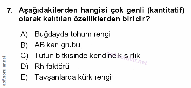 Soru 7