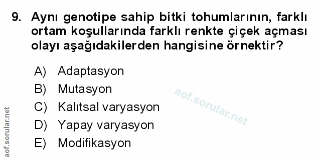 Soru 9
