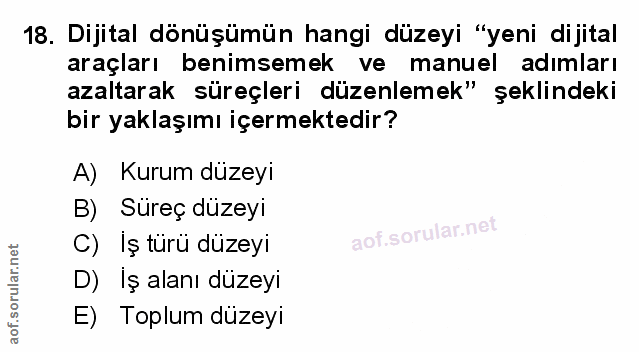 Soru 18