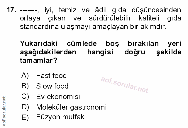Soru 17