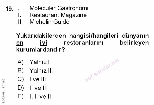 Soru 19