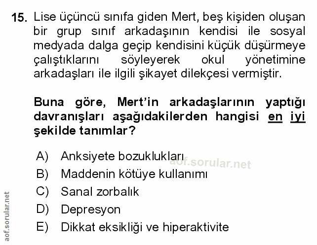 Soru 15