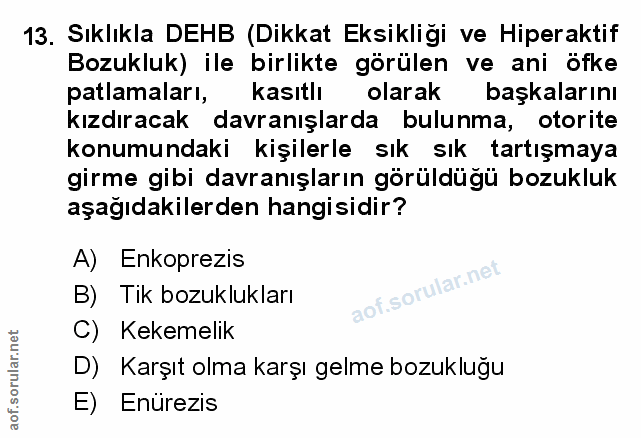 Soru 13