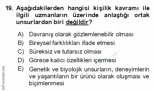 Soru 19