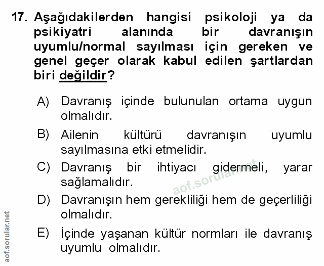 Soru 17