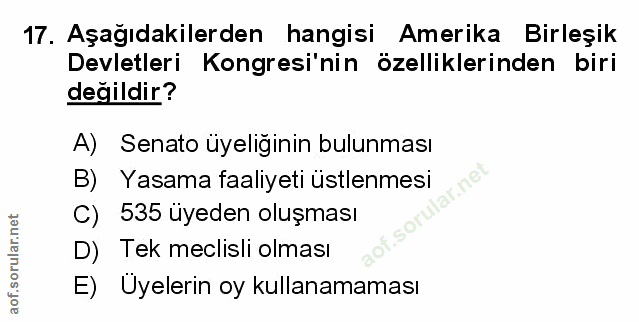Soru 17