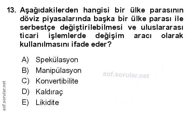 Soru 13