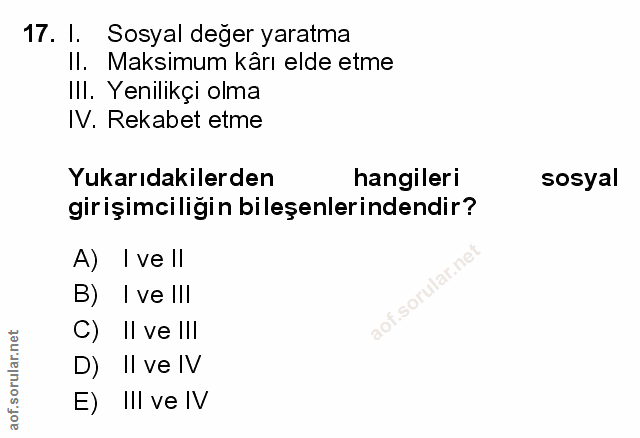 Soru 17