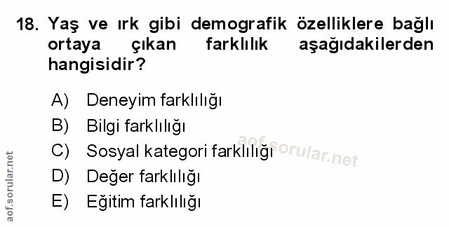 Soru 18