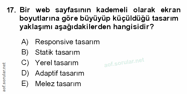 Soru 17
