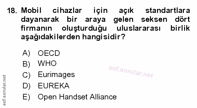 Soru 18