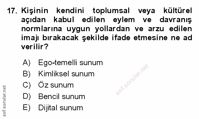 Soru 17