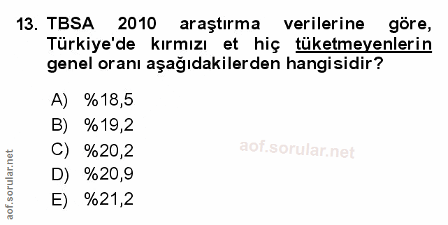 Soru 13