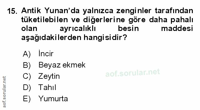 Soru 15