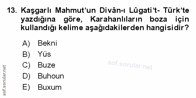 Soru 13