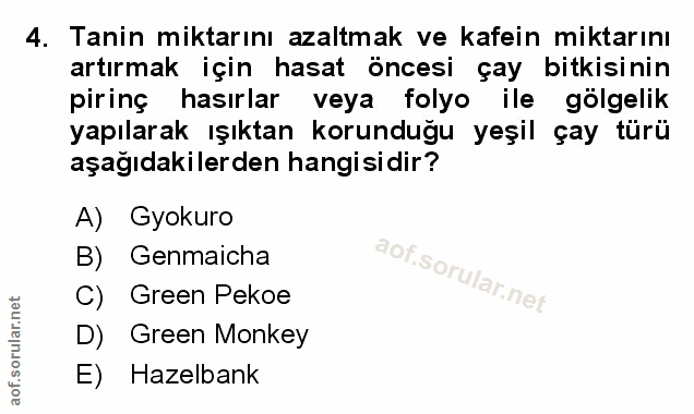 Soru 4