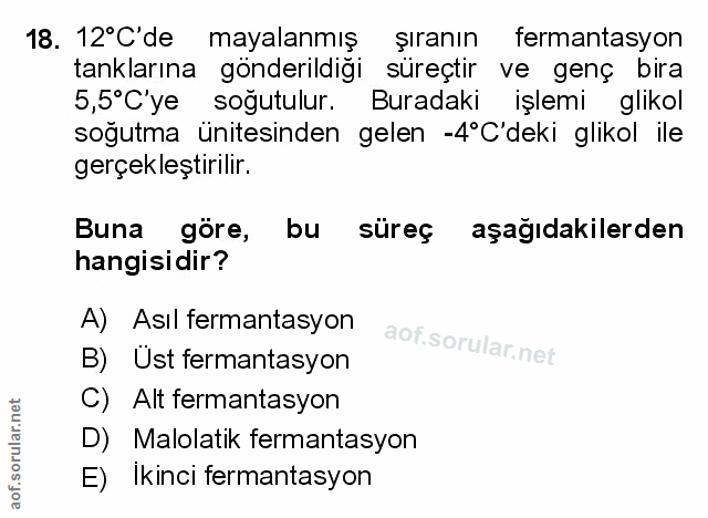 Soru 18