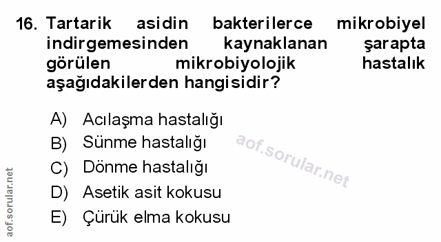 Soru 16