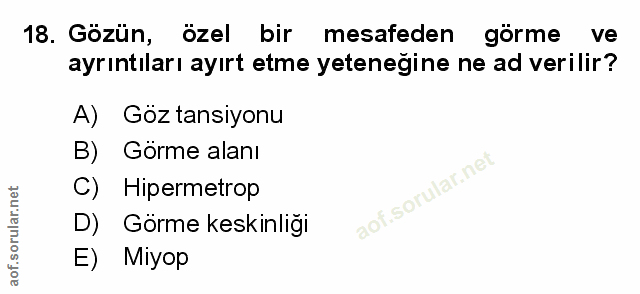 Soru 18