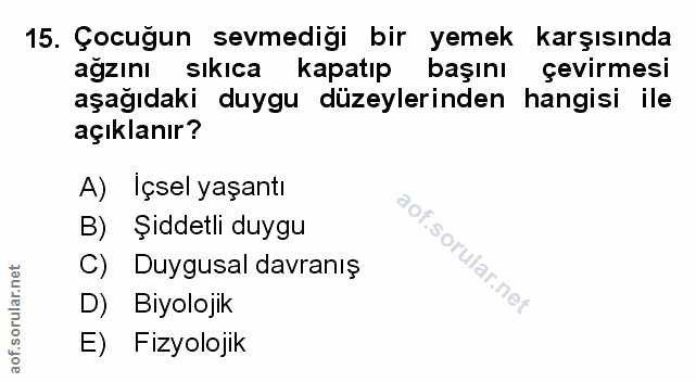 Soru 15