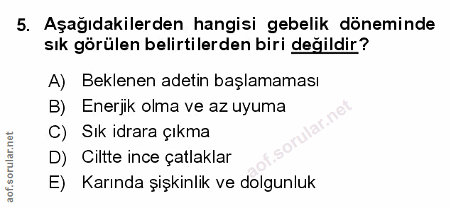 Soru 5
