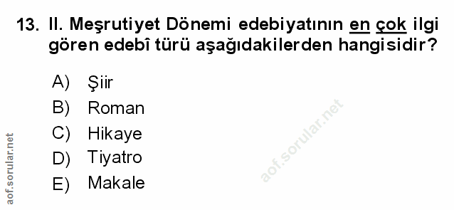 Soru 13
