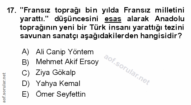 Soru 17