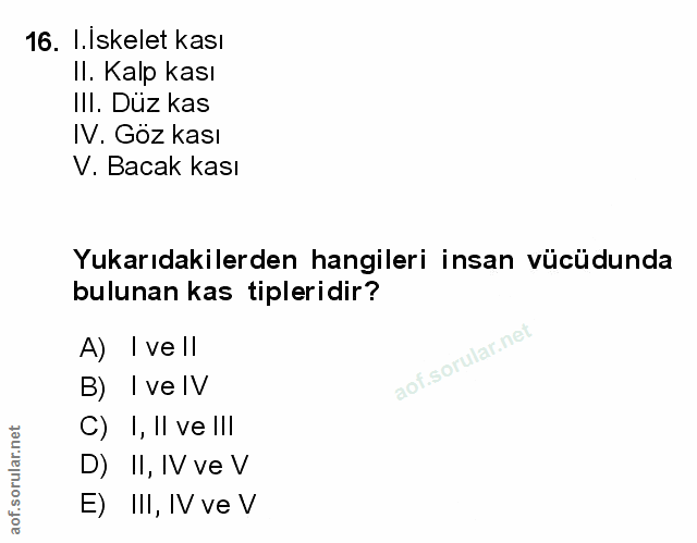 Soru 16