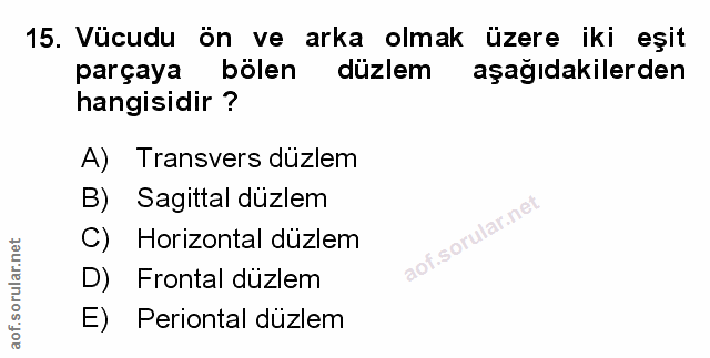 Soru 15