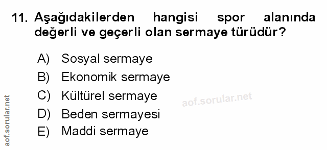Soru 11