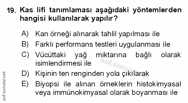 Soru 19