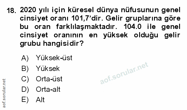 Soru 18