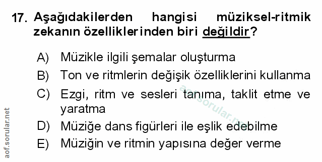 Soru 17