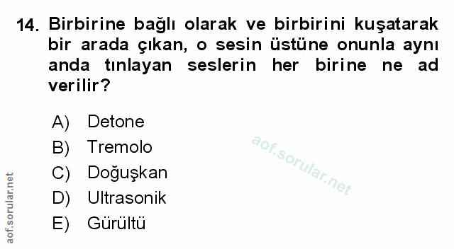 Soru 14