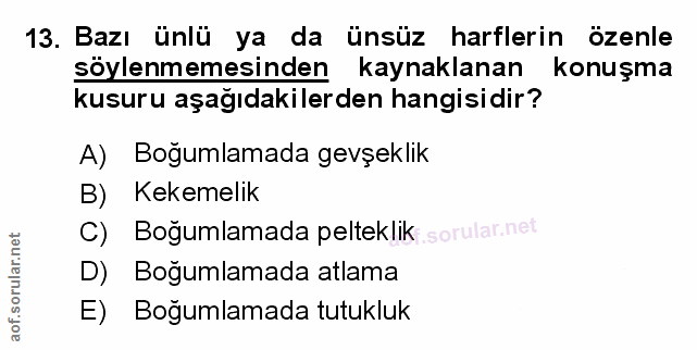 Soru 13