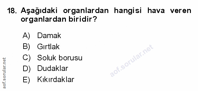 Soru 18
