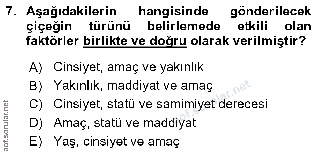 Soru 7