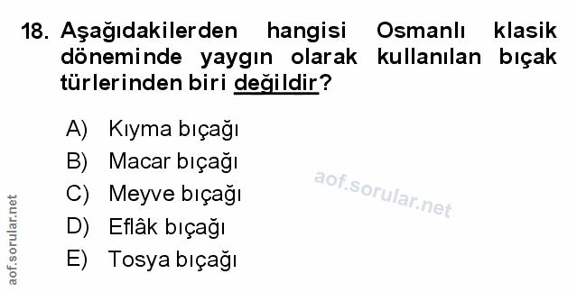 Soru 18
