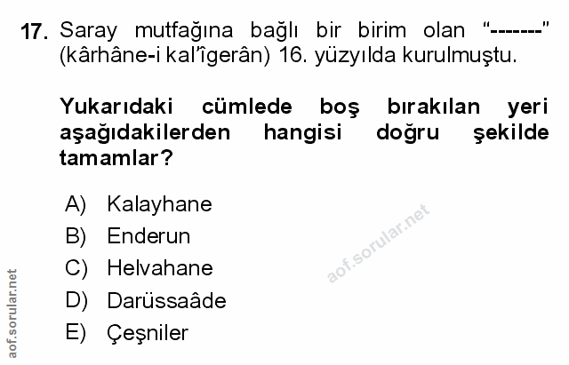 Soru 17
