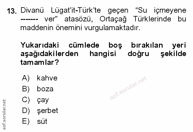 Soru 13