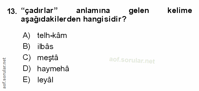 Soru 13