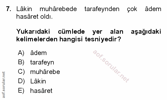 Soru 7