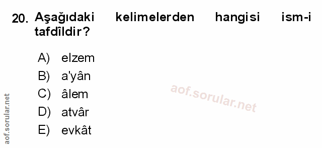 Soru 20