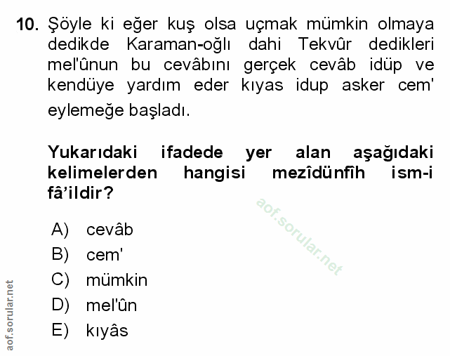 Soru 10
