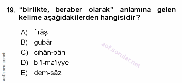 Soru 19