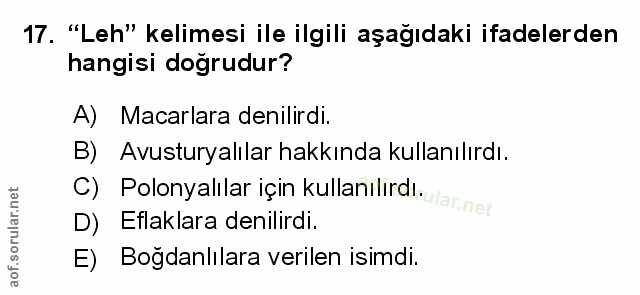 Soru 17