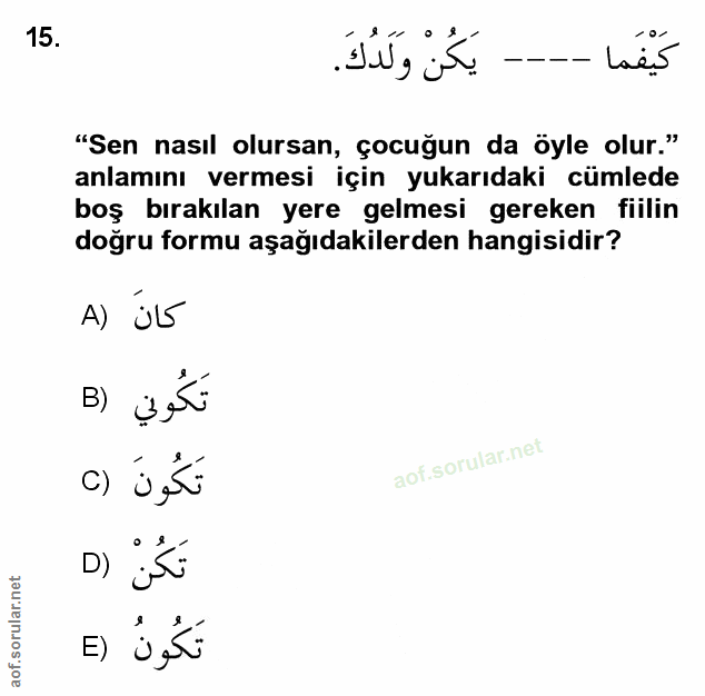 Soru 15