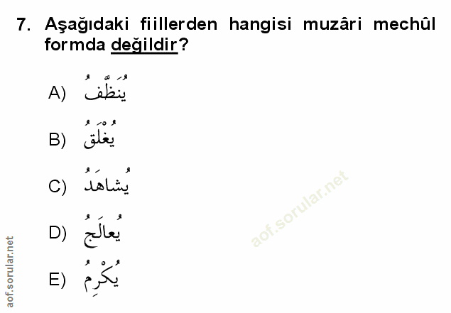 Soru 7