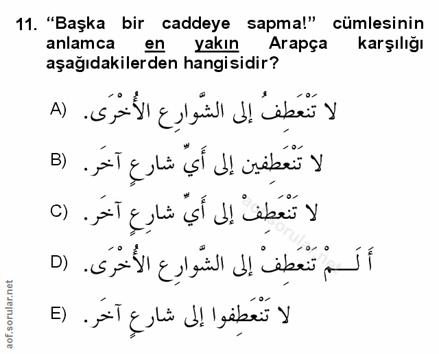 Soru 11