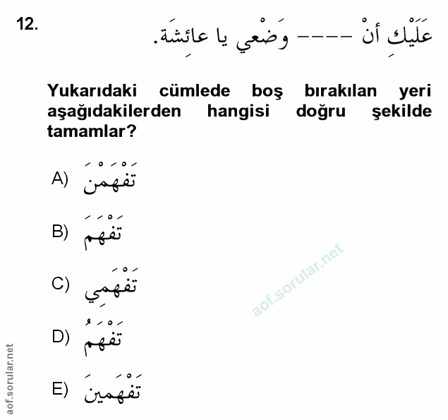 Soru 12